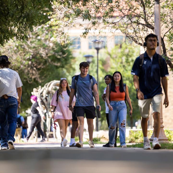 Enroll at Texas Tech University.